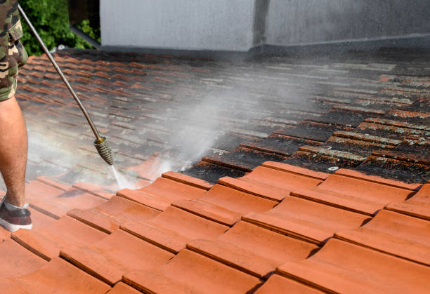 Best Concrete Pressure Washing  in Martindale, TX